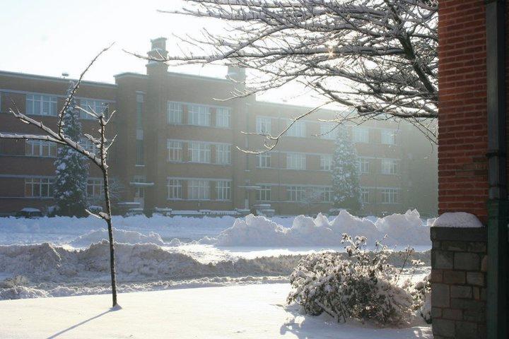 Saive Winter 2010_11.jpg